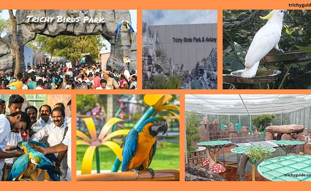 Trichy-birds-park-Tamil-Nadu