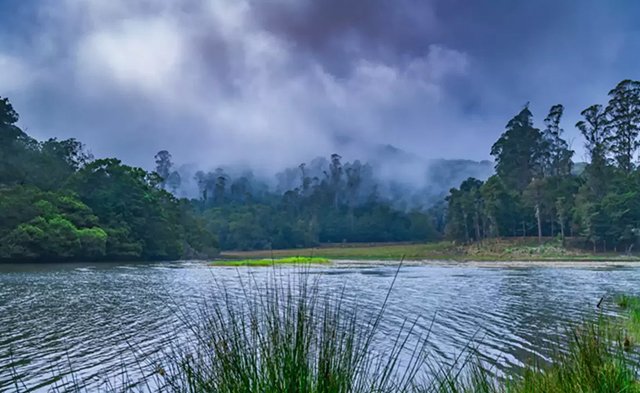 berijam-lake-KODAIKANAL
