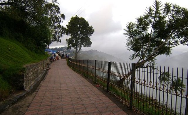 coaker walk