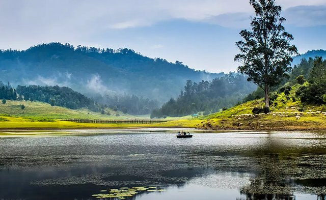 kodaikanal-lake